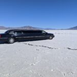 Best Limousine Services in Denver Compared