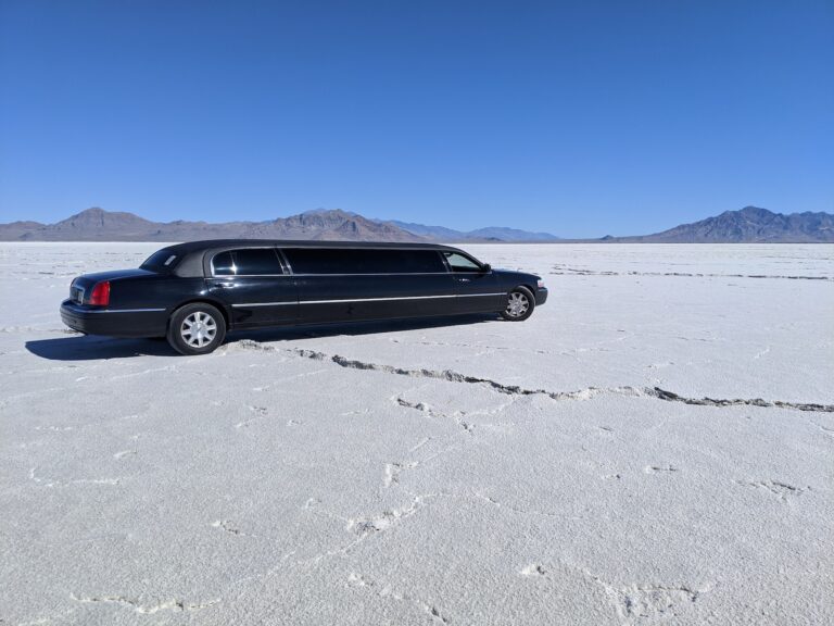Read more about the article Denver Limousine Service with Experienced Chauffeurs