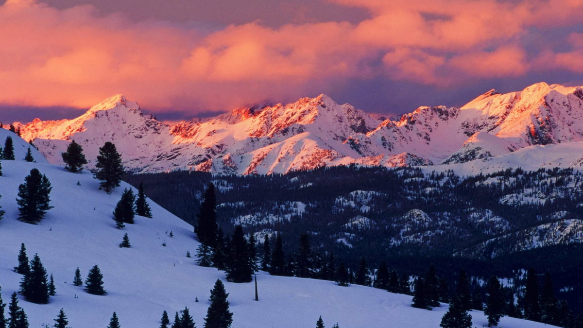 Private Ride with a Colorado Mountain Dog: Luxury Transport from Denver to the Rockies