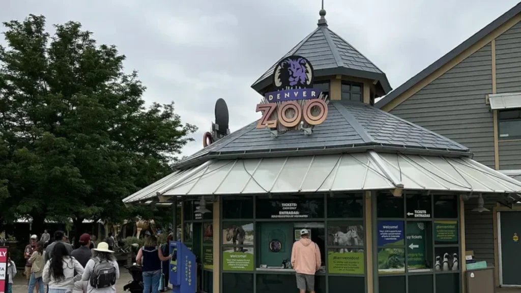 Luxury limo and shuttle service transporting family and group to Denver Zoo party